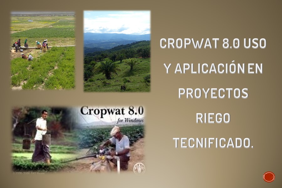CROPWAT 8.0: Uso y Aplicación en Proyectos de Riego Tecnificado