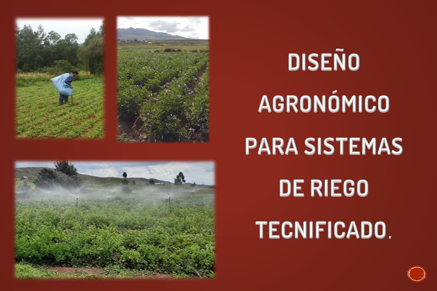 Diseño de Sistemas de Riego Tecnificado