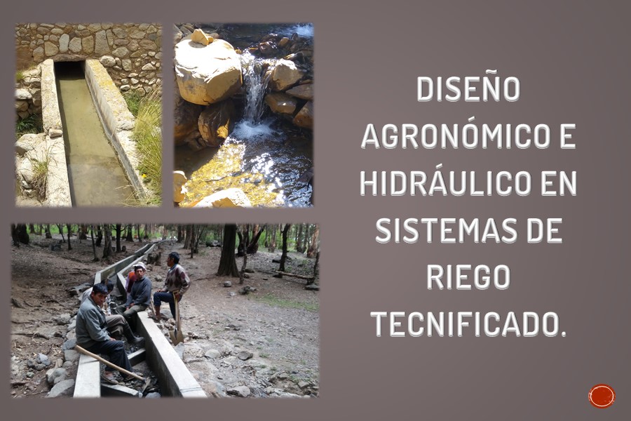 Diseño Agronómico e Hidráulico en Sistemas de Riego Tecnificado