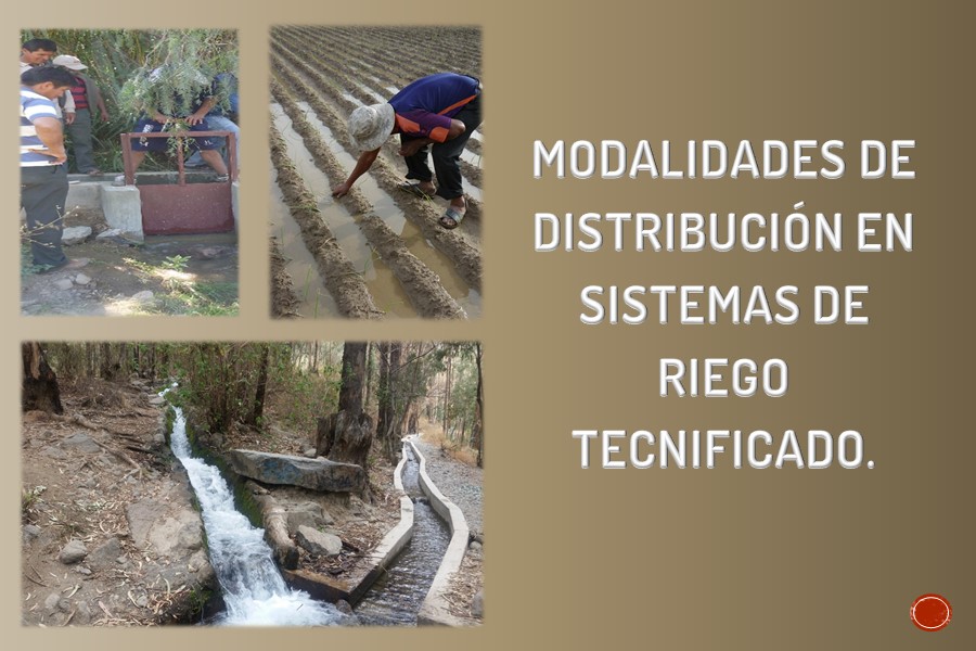 Modalidades de Distribución en Sistemas de Riego Tecnificado